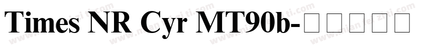 Times NR Cyr MT90b字体转换